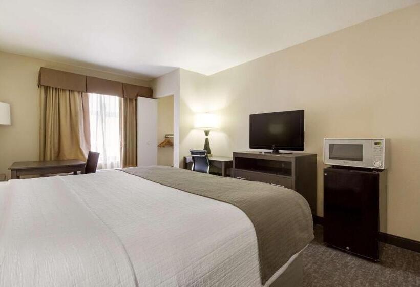 Номер Стандарт Кровать Кинг Адаптированный для Инвалидов, Surestay Plus Hotel By Best Western Houston Medical Center