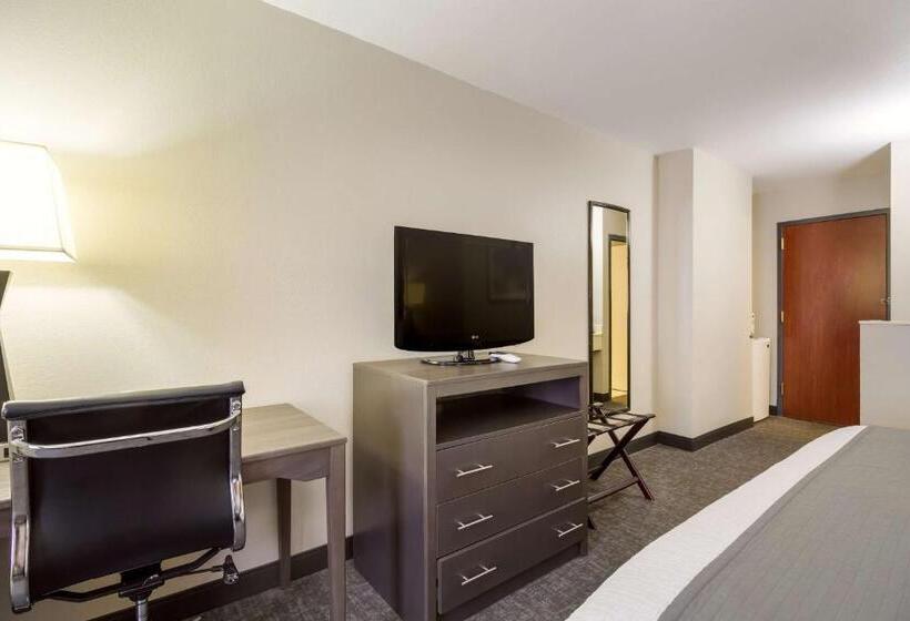 Стандартный Номер Кровать Кинг, Surestay Plus Hotel By Best Western Houston Medical Center