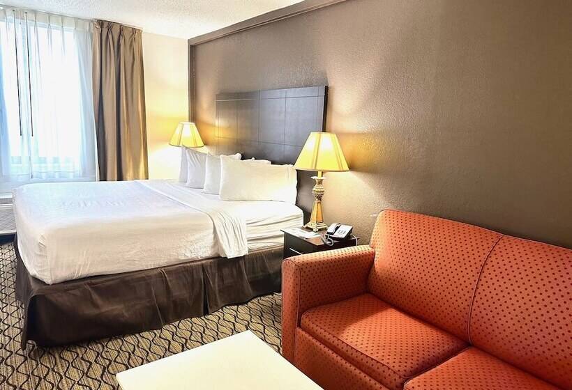 套房, Wyndham Garden Detroit Metro Airport