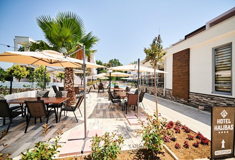 Deluxe Quadruple Room, Halibas
