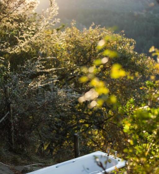 패밀리 스위트, Away With The Fairies Nature Lodge And Backpackers