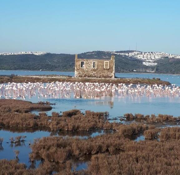 Вилла 2 Спальни, Green House Boğaziçi – Dodo House
