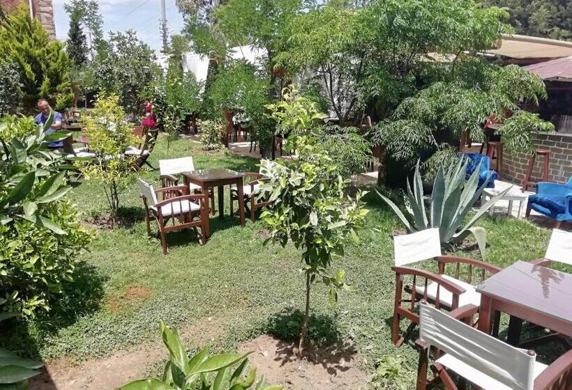 Трехместный Номер Базовый, Green House Boğaziçi – Dodo House