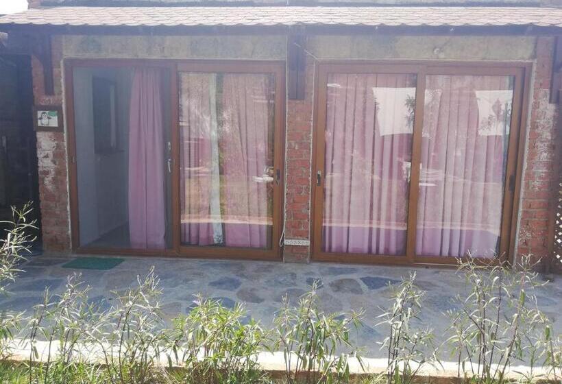 Трехместный Номер Базовый, Green House Boğaziçi – Dodo House