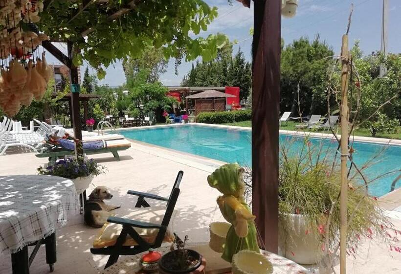 ツーベッドルーム　ヴィラ, Green House Boğaziçi – Dodo House
