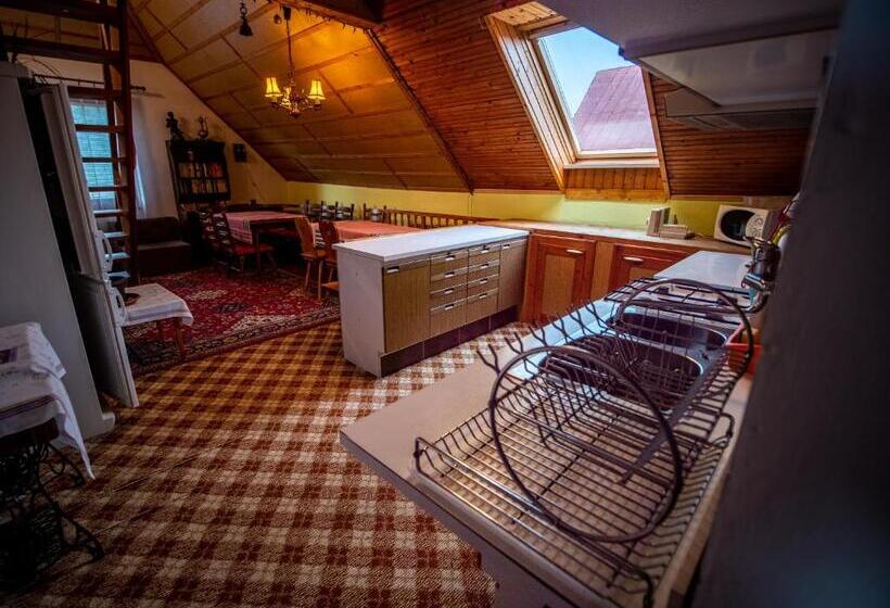 2 베드룸 듀플렉스, Apartmány Tatry Euro Crv