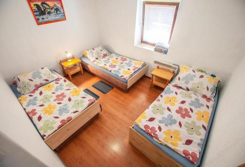 آپارتمان 2 خوابه, Hostel, Rooms And Apartment Ceklin