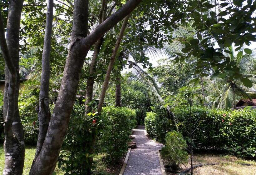 اتاق استاندارد, Sigiri Charuka Resort