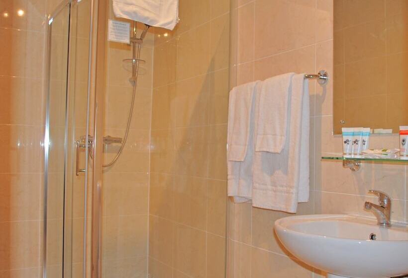스탠다드 싱글 룸, Baggot Court Townhouse