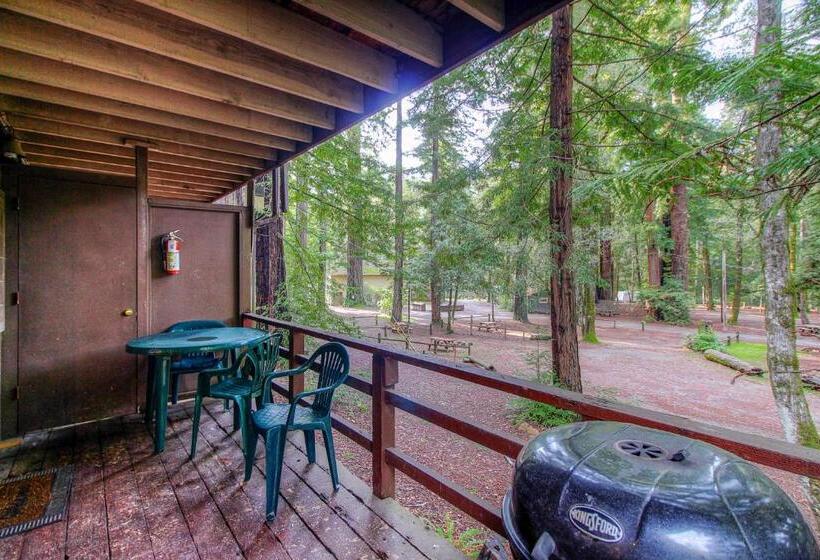 Люкс Повышенной Комфортности, Redwoods River Resort & Campground