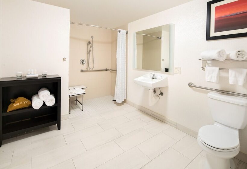 Люкс Адаптированный для Инвалидов, Homewood Suites By Hilton Anaheimmain Gate Area