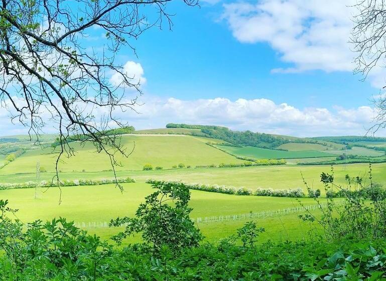 Дом 1 Спальня, Saddlers B&b
