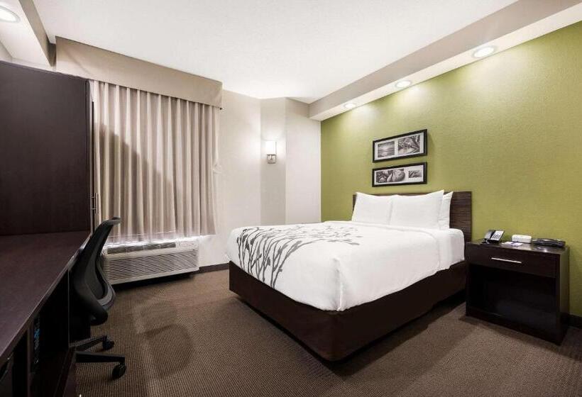 Номер Стандарт Адаптированный для Инвалидов, Sleep Inn Athens I65