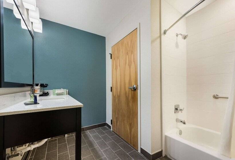 스위트, Sleep Inn & Suites Cullman I 65 Exit 310