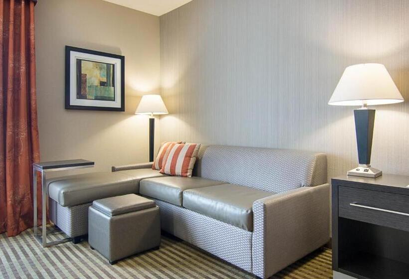 Люкс Адаптированный для Инвалидов, Comfort Inn Camden