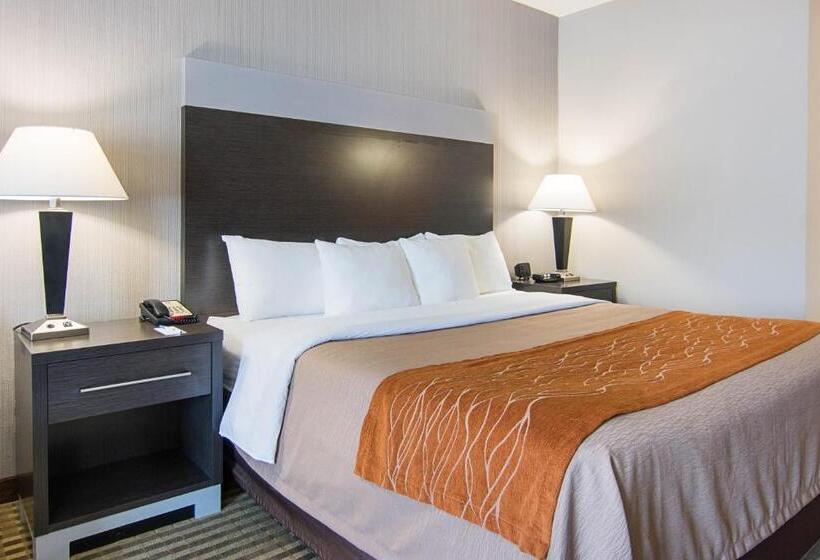 Люкс Адаптированный для Инвалидов, Comfort Inn Camden