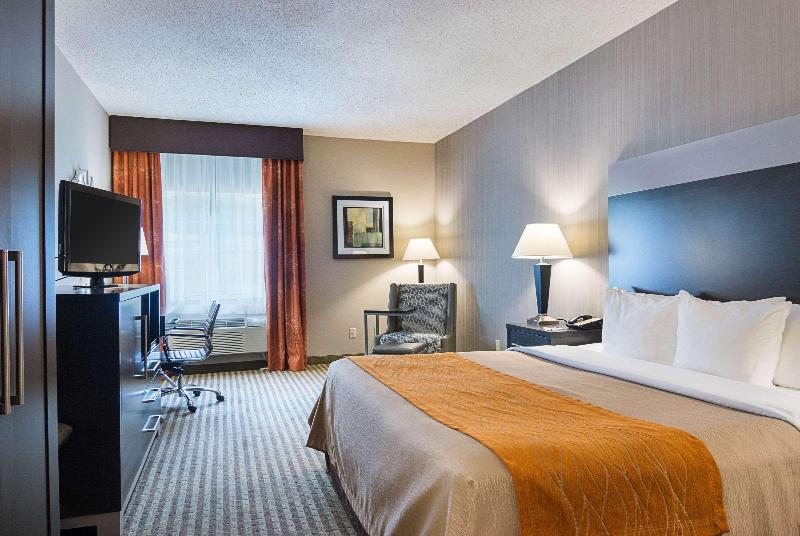 Номер Стандарт, Comfort Inn Camden