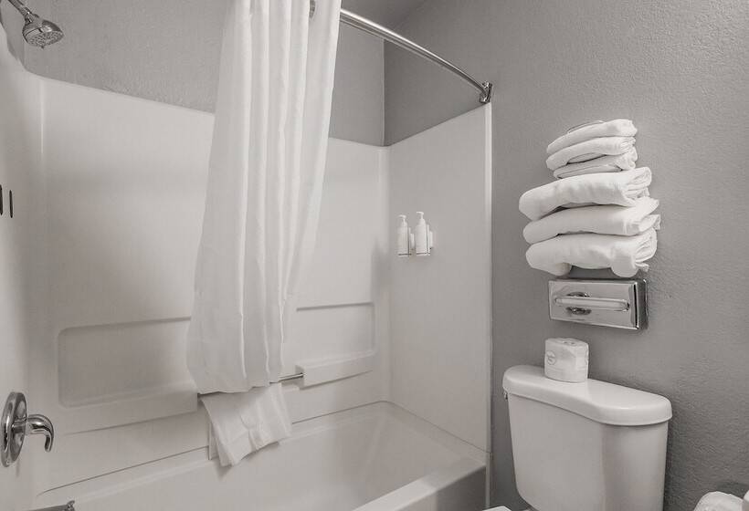 Номер Стандарт 2 Двуспальные Кровати, Sutter Inn