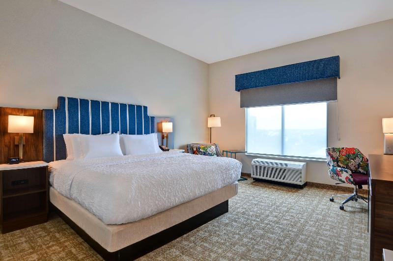 适合残疾人使用的标准间, Hampton Inn & Suites Nashville Downtown Capitol View