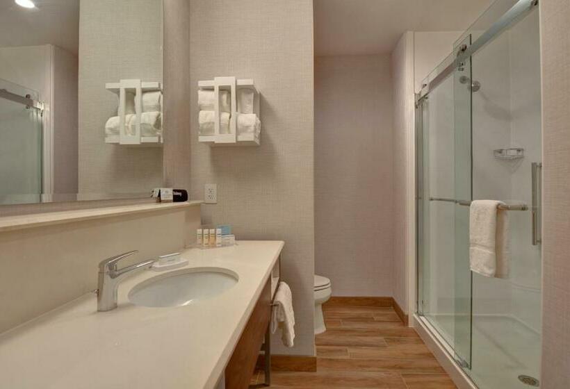 带大床的标准间, Hampton Inn & Suites Nashville Downtown Capitol View