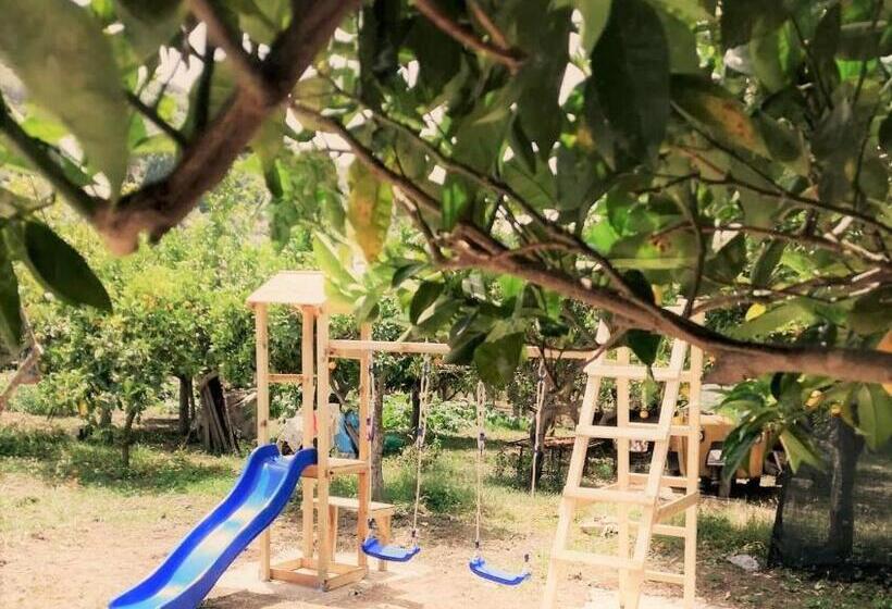 Трехместный Номер Комфорт, Agriturismo Aiolia   Panorama Eolie