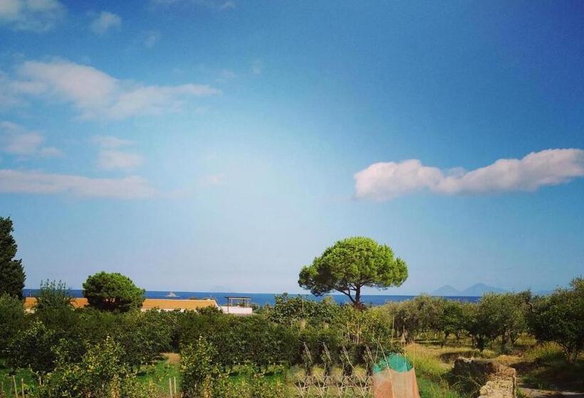 Студия Стандарт Вид на Море, Agriturismo Aiolia   Panorama Eolie