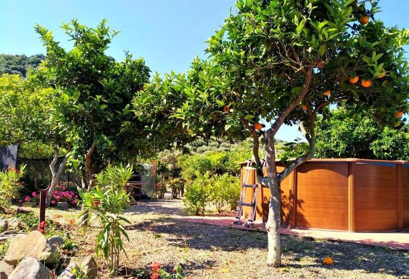 Семейное Студио, Agriturismo Aiolia   Panorama Eolie
