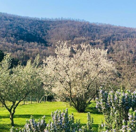 Апартаменты 1 Спальня, Agriresort La Noce Di Francesca