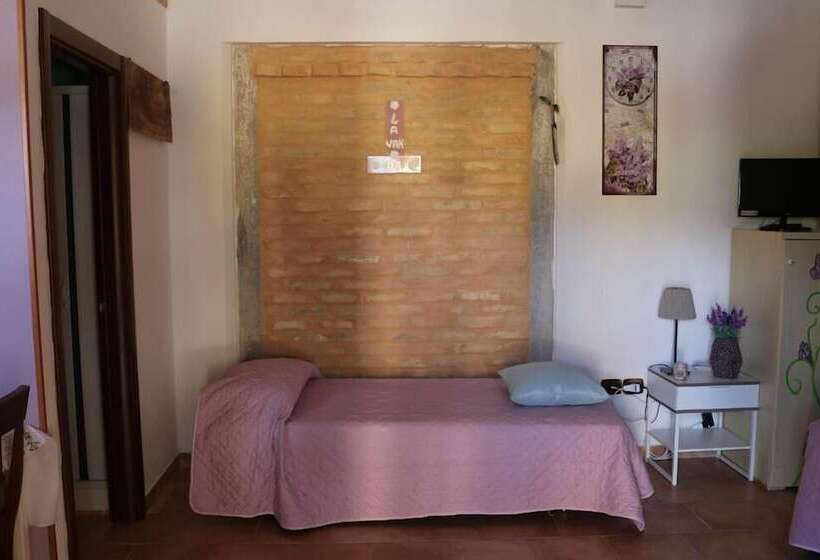 Студио Стандарт Вид на Бассейн, Agriturismo Fattoria Del Colle