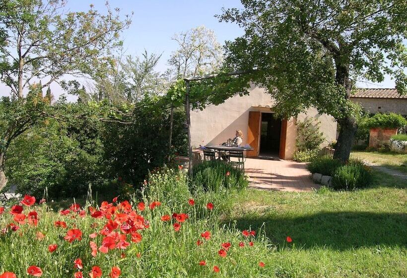 Апартаменты Deluxe 1 Спальня, Agriturismo Montefili