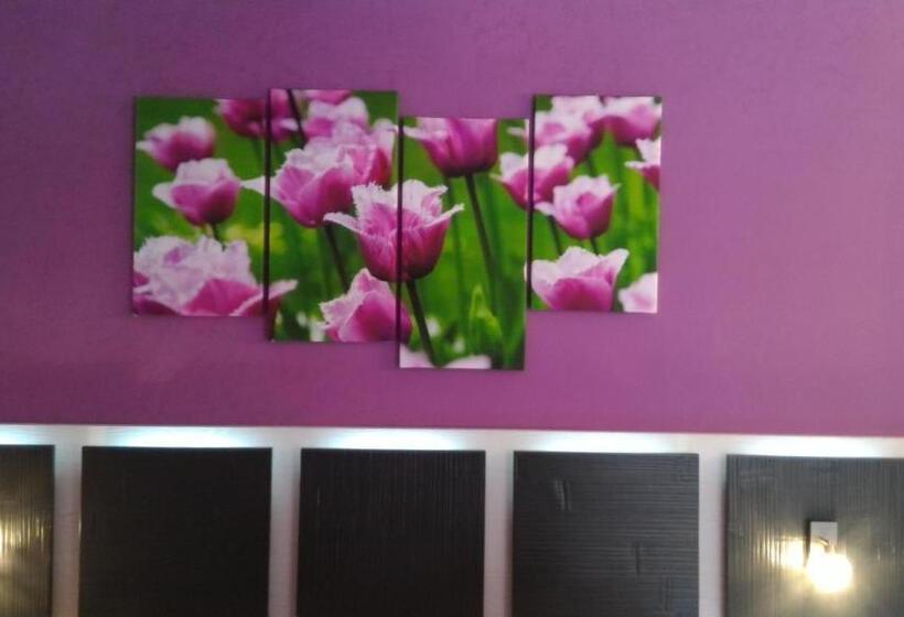 اتاق لوکس, Albis Rooms Guest House
