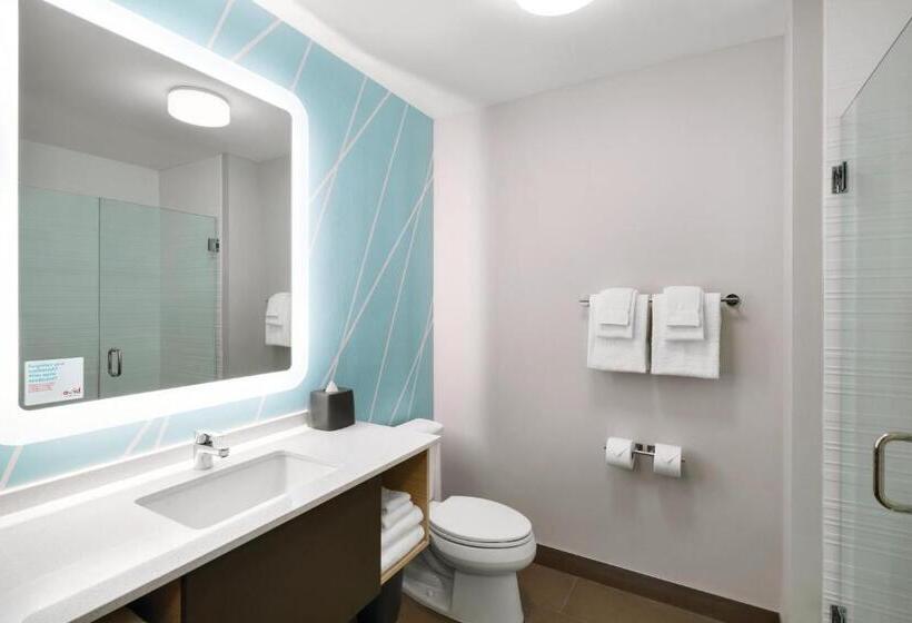 标准间, Avid Hotel Cedar Rapids South   Arpt Area, An Ihg
