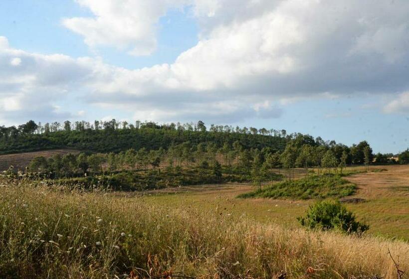 Люкс с Балконом, Collina Blu