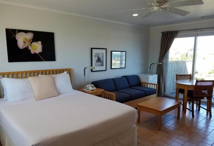 Номер Стандарт, White Sands Motel