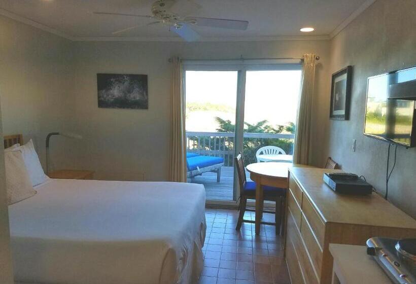 Номер Basic, White Sands Motel