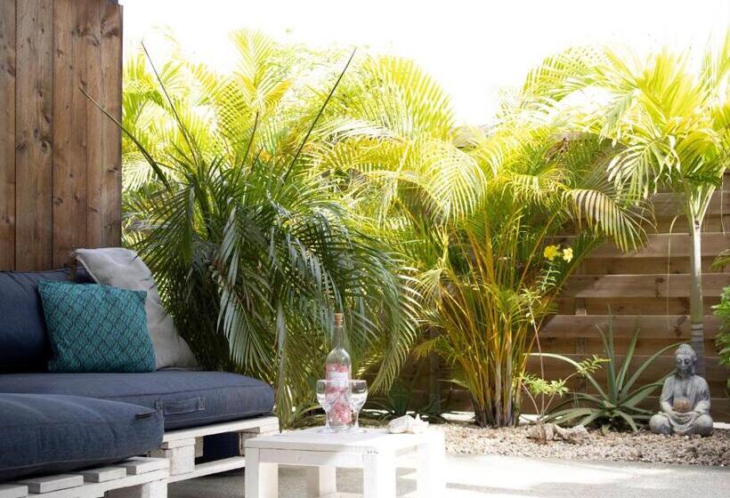 إستوديو قياسى مزودة بتراس, Casa Mantana Bonaire