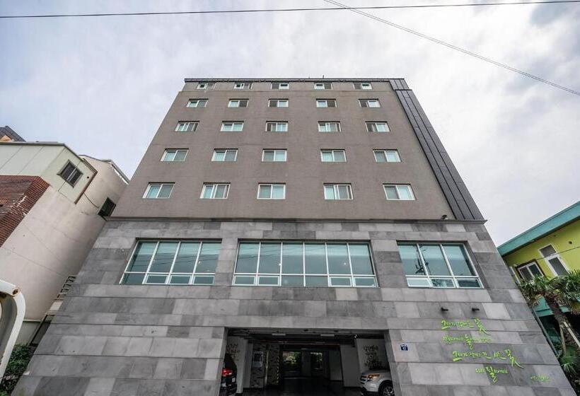 Номер Стандарт, Rest Seogwipo