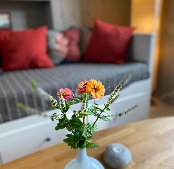 Номер Стандарт, B&b Borgunda