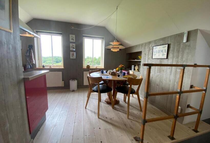 Номер Стандарт, B&b Borgunda