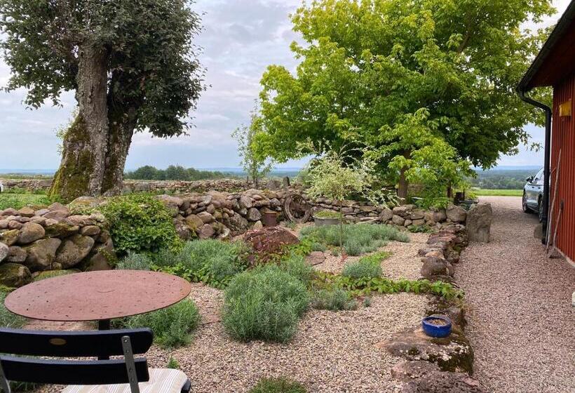 Номер Стандарт, B&b Borgunda