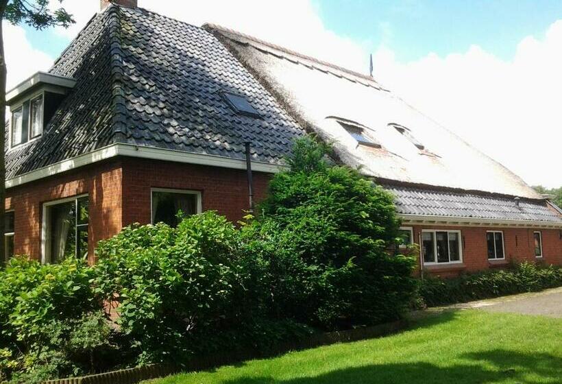 이코노미 룸, Bed & Breakfast Meinsma