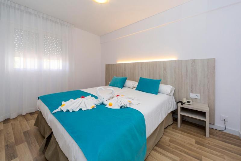 Standard Room, Comitas Floramar