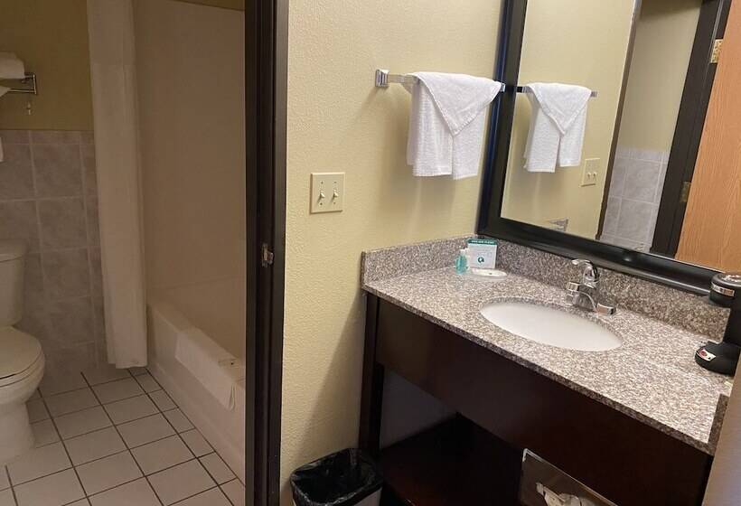 ２ダブルベッドのスタンダードルーム, Quality Inn Bolingbrook I 55