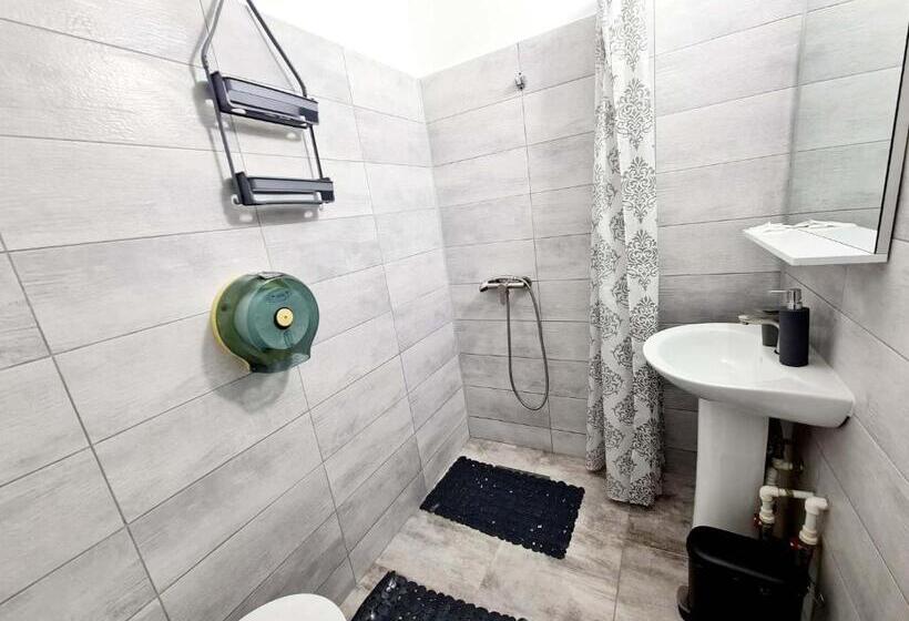 اتاق سوپریور, Vila Giulia Voineasa