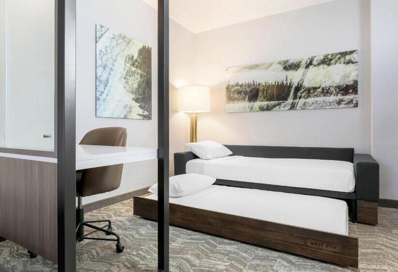带大床的套房, Springhill Suites By Marriott Truckee