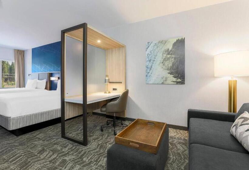 套房, Springhill Suites By Marriott Truckee