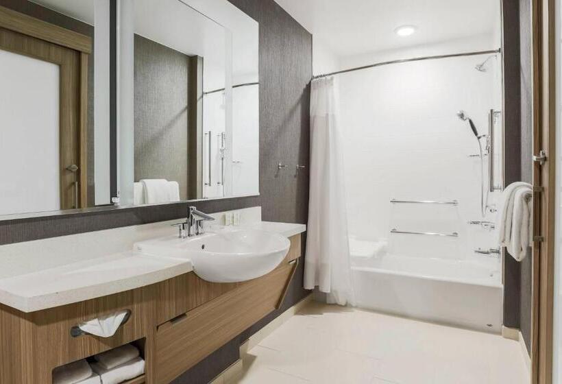 适合残疾人士使用的套间, Springhill Suites By Marriott Truckee