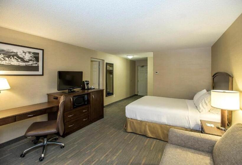جناح سرير كينج, Holiday Inn Lethbridge, An Ihg