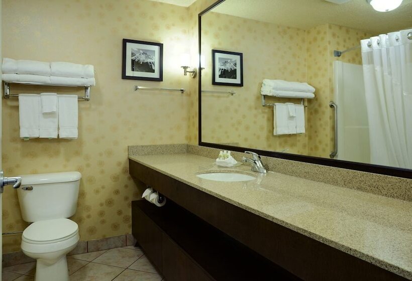 スタンダードルーム, Holiday Inn Lethbridge, An Ihg
