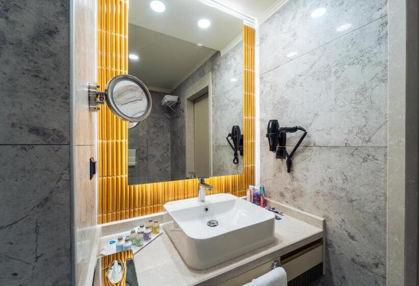 豪华单人间, Ic Hotels Airport